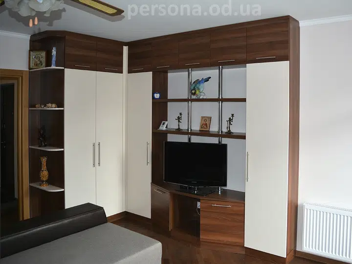 Corner wall unit in a living room