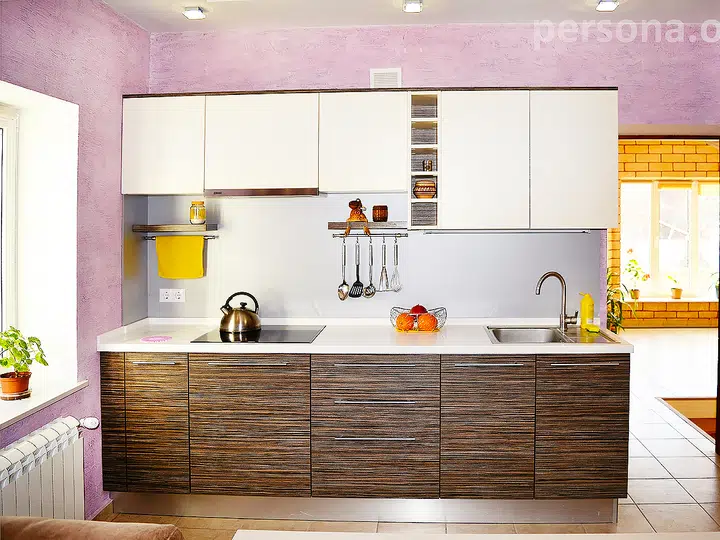 Compact kitchen in a guest area