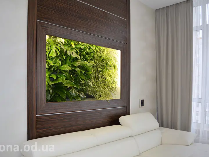 Frame for a living wall in a living room